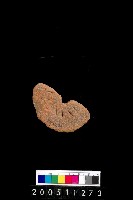 藏品(陶紡輪)的圖片