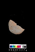 藏品(陶紡輪)的圖片