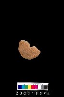 藏品(陶紡輪)的圖片