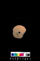 藏品(陶紡輪)的圖片