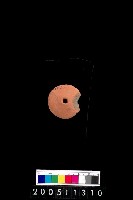 藏品(陶紡輪)的圖片