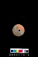 藏品(陶紡輪)的圖片