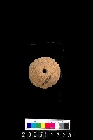 藏品(陶紡輪)的圖片