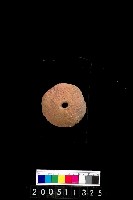 藏品(陶紡輪)的圖片