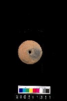 藏品(陶紡輪)的圖片