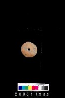 藏品(陶紡輪)的圖片