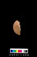 藏品(陶紡輪)的圖片