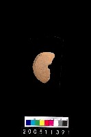 藏品(陶紡輪)的圖片