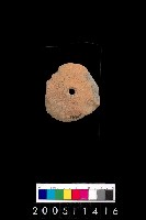 藏品(陶紡輪)的圖片