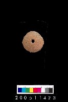 藏品(陶紡輪)的圖片