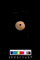 藏品(陶紡輪)的圖片