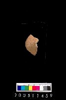 藏品(陶紡輪)的圖片