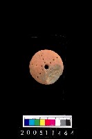 藏品(陶紡輪)的圖片