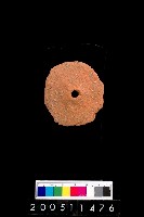 藏品(陶紡輪)的圖片