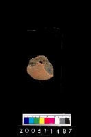 藏品(陶紡輪)的圖片