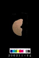 藏品(陶紡輪)的圖片