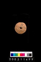 藏品(陶紡輪)的圖片