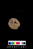 藏品(陶紡輪)的圖片