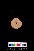 藏品(陶紡輪)的圖片