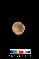 藏品(單把陶杯)的圖片