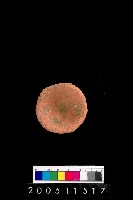 藏品(單把陶杯)的圖片