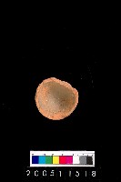 藏品(單把陶杯)的圖片