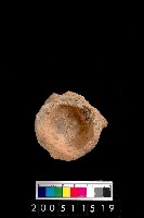 藏品(小陶罐)的圖片