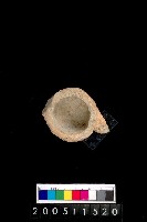 藏品(雙豎把小陶罐)的圖片