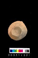 藏品(雙豎把小陶罐)的圖片