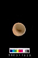 藏品(陶杯)的圖片