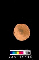 藏品(陶杯)的圖片