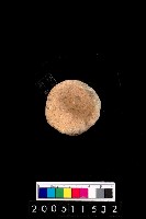 藏品(陶杯)的圖片