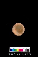 藏品(陶杯)的圖片