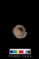 藏品(陶杯)的圖片