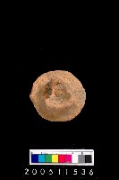 藏品(陶杯)的圖片