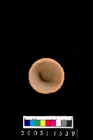 藏品(陶杯)的圖片