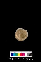 藏品(陶杯)的圖片