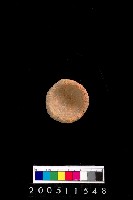 藏品(陶杯)的圖片