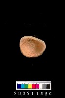 藏品(陶杯)的圖片