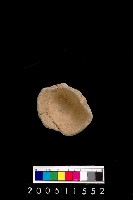 藏品(陶杯)的圖片