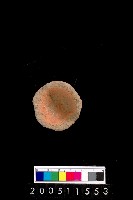 藏品(陶杯)的圖片