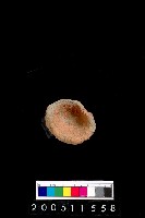 藏品(陶杯)的圖片