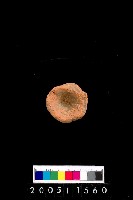 藏品(陶杯)的圖片