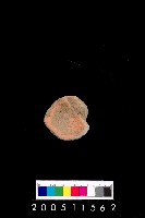 藏品(陶杯)的圖片