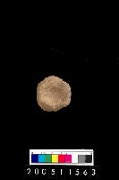 藏品(陶杯)的圖片