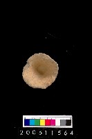 藏品(陶杯)的圖片