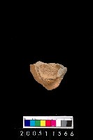 藏品(陶杯)的圖片