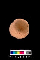 藏品(陶杯)的圖片