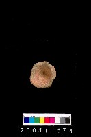 藏品(陶杯)的圖片