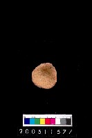 藏品(陶杯)的圖片